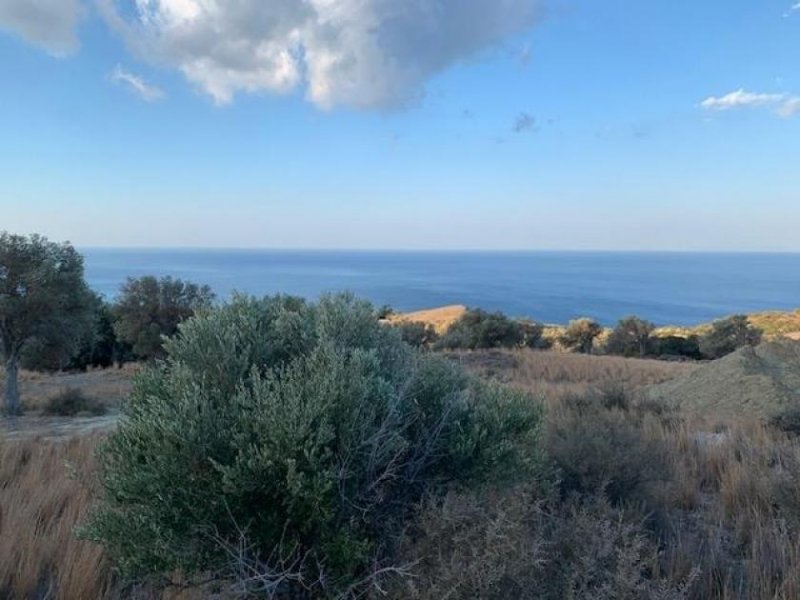 Ag. Paraskevi bei Triopetra Kreta, Agia Paraskevi: Bebaubares Grundstück in der Nähe der Strände Triopetra und Ligres zu verkaufen Grundstück kaufen